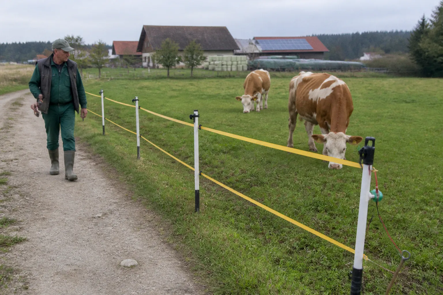 Bio-Betriebe: Konventionelles Grundfutter bei Dürre über VIS melden