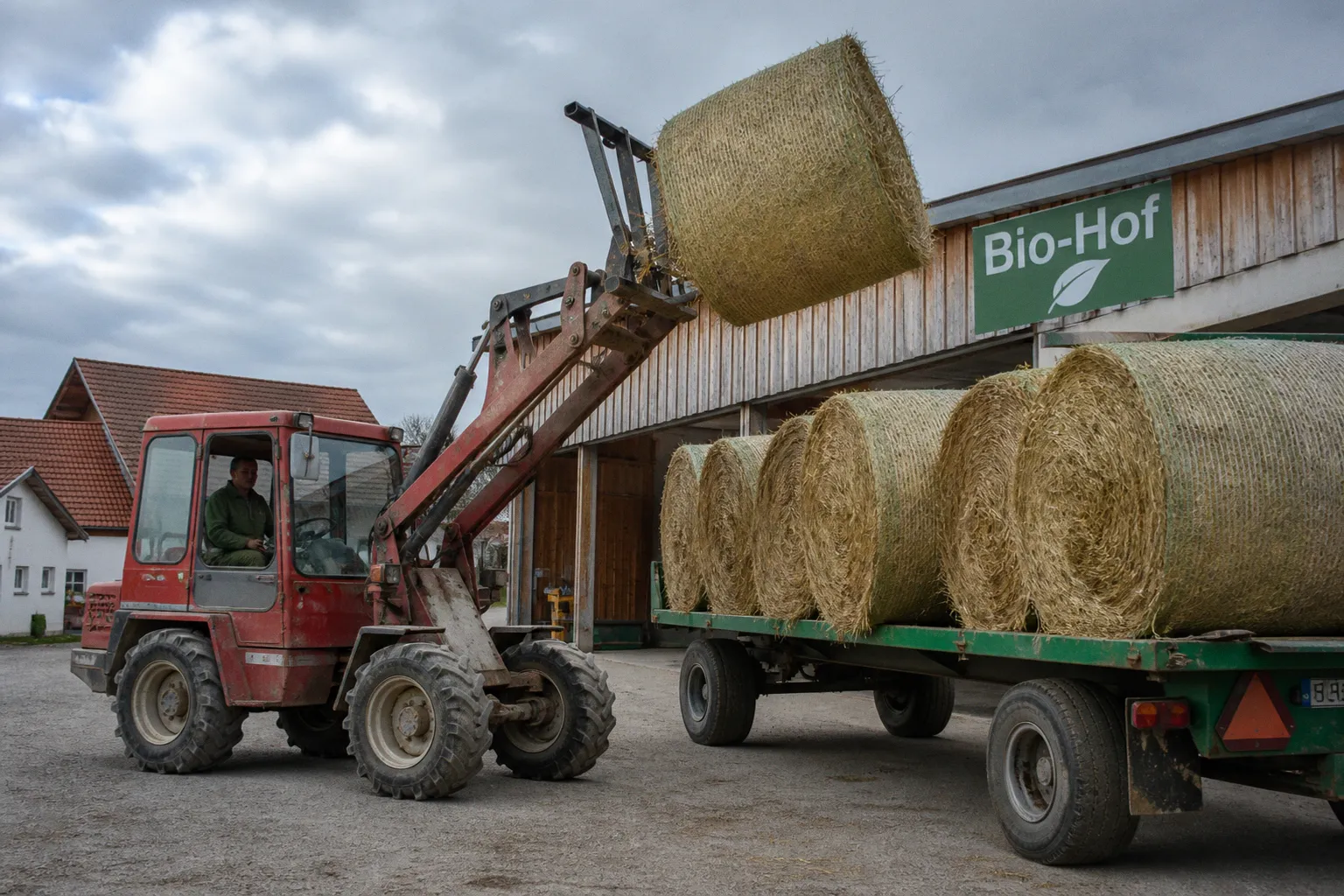 Dürre in Bayern: Bio-Betriebe dürfen vorübergehend konventionelles Futter zukaufen
