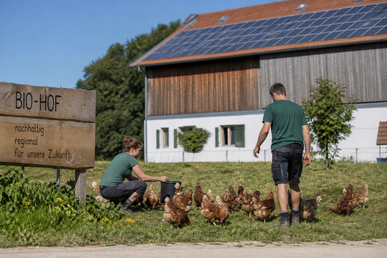 Höfetour Zukunft: Nachhaltige Landwirtschaft in Melk-Scheibbs erleben