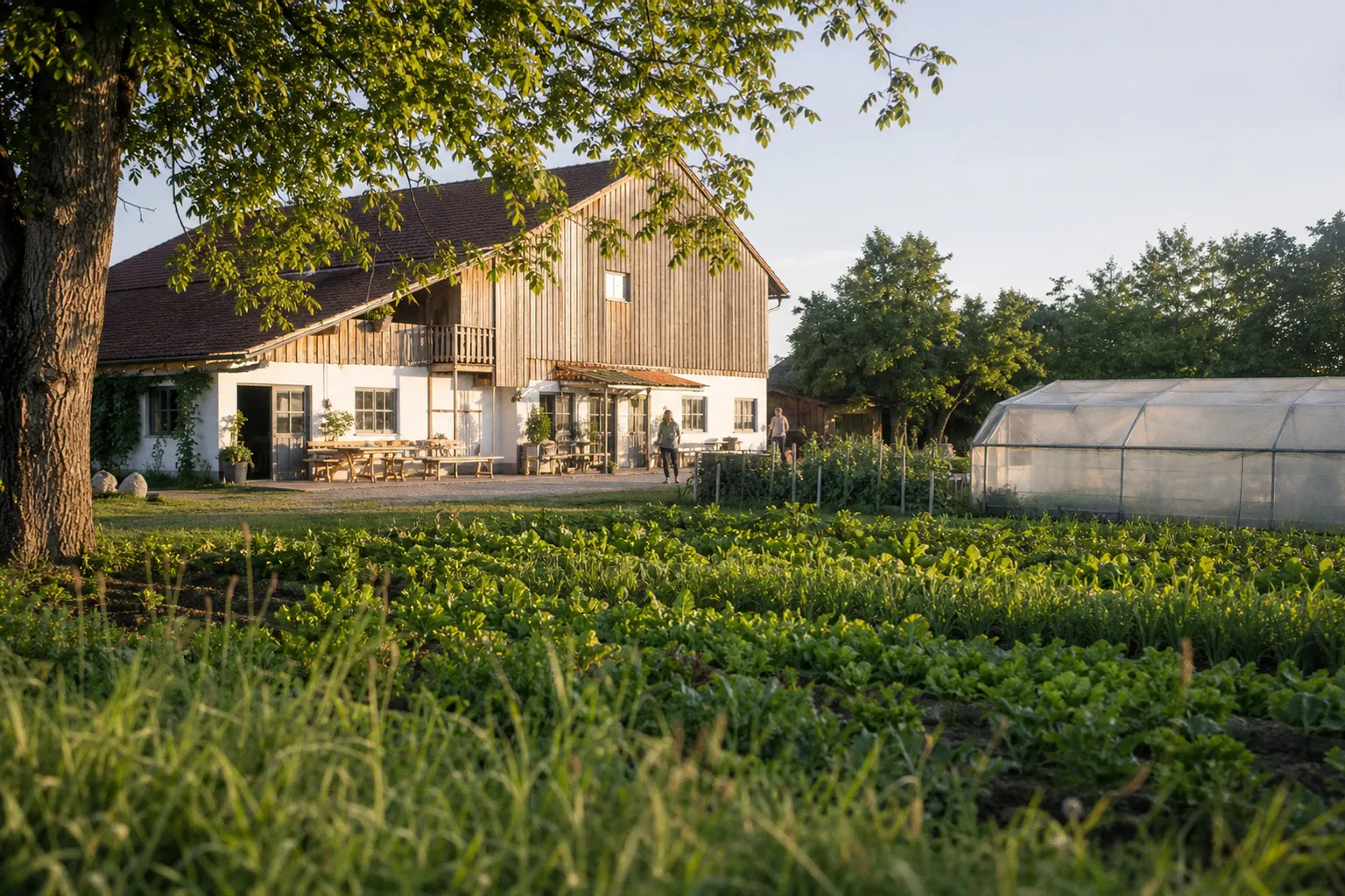 Kaufland kooperiert ab 2027 mit Naturland für mehr Bio-Vielfalt