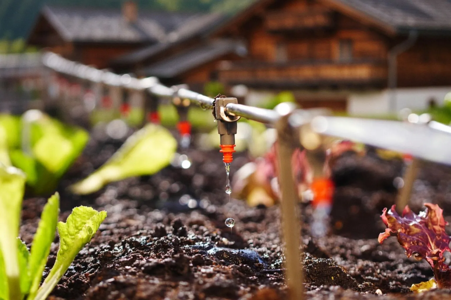 Landwirtschaft im Klimawandel: Strategien für Bio-Höfe in Oberösterreich