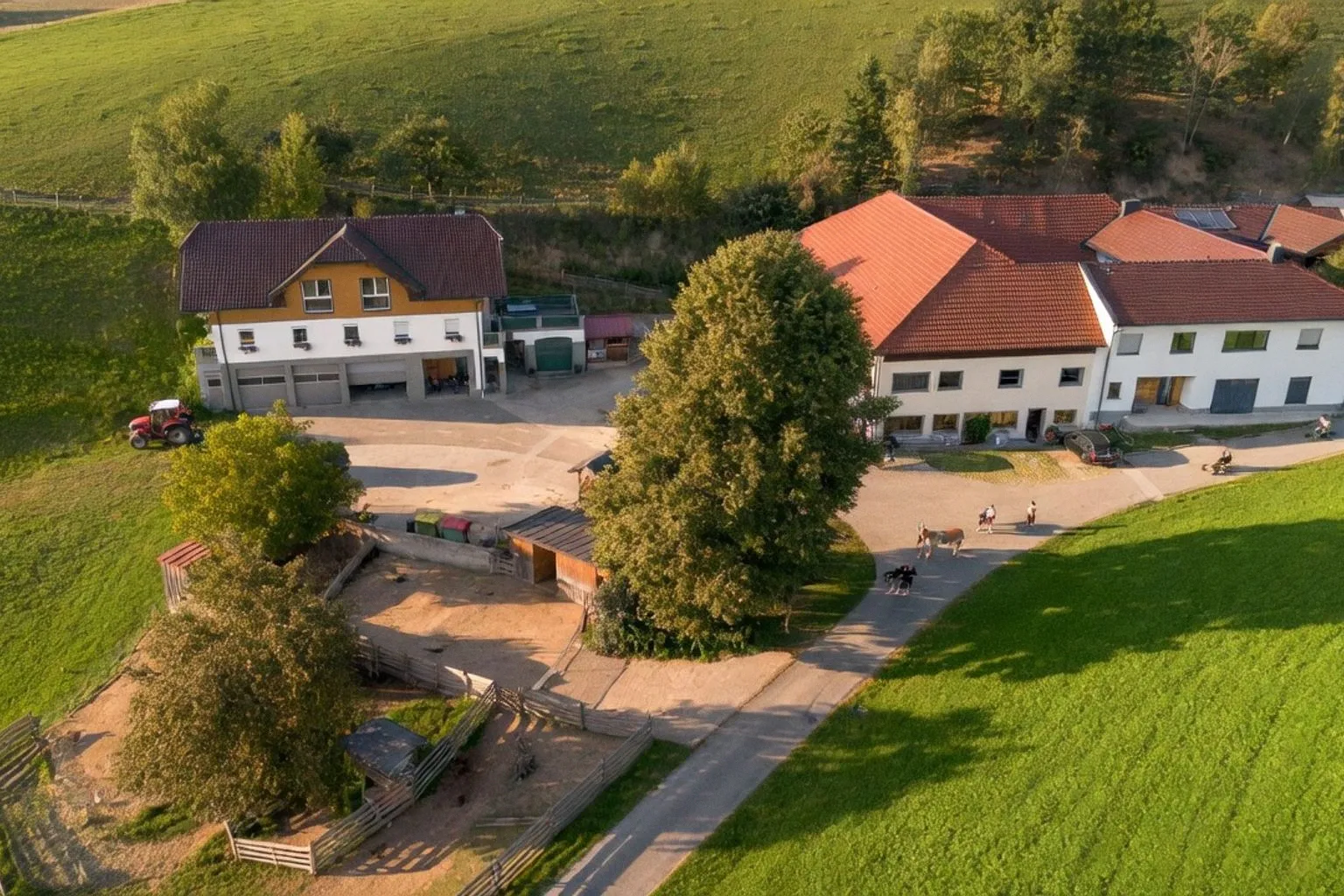 Löschgruberhof in Rechberg: Bio-Milchwirtschaft trifft auf modernen Familienurlaub