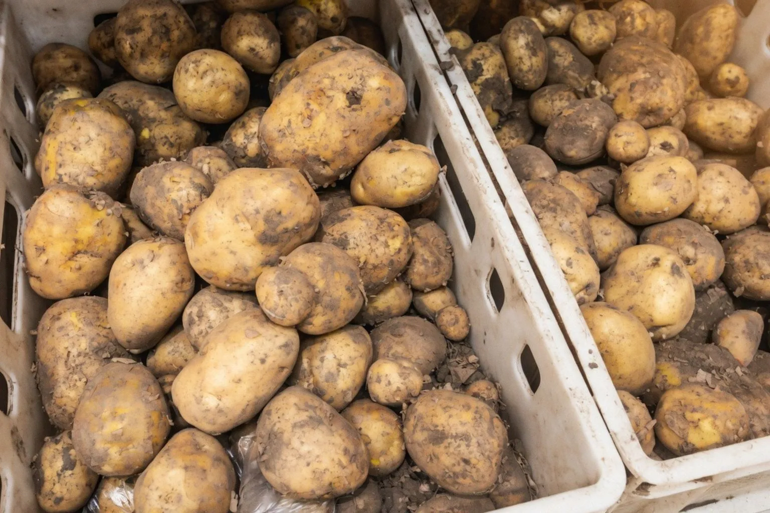 Ökologische Landwirtschaft als Erlebnis: Strategien für Bio-Höfe in Oberösterreich