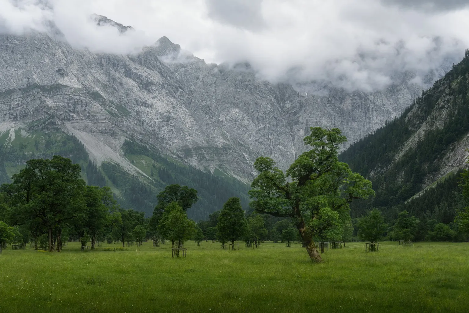 Parkgebühren im Nationalpark Kalkalpen: Teure Fehler vermeiden