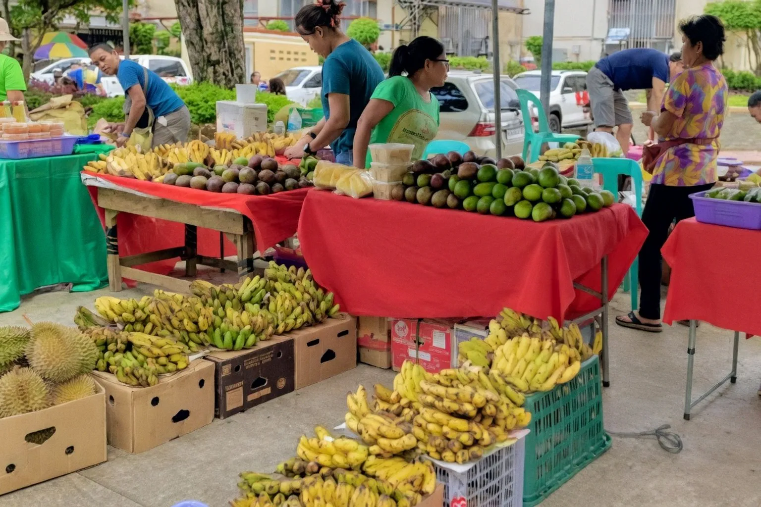 Regenerative Landwirtschaft als Ausweg aus der Obstkrise in Davao
