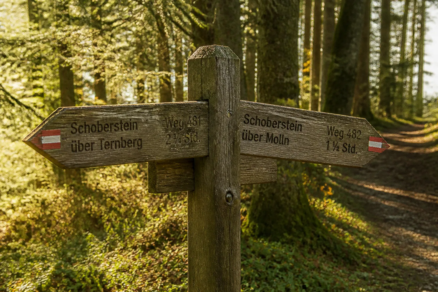 Schoberstein: Aufstieg von Molln oder Ternberg?