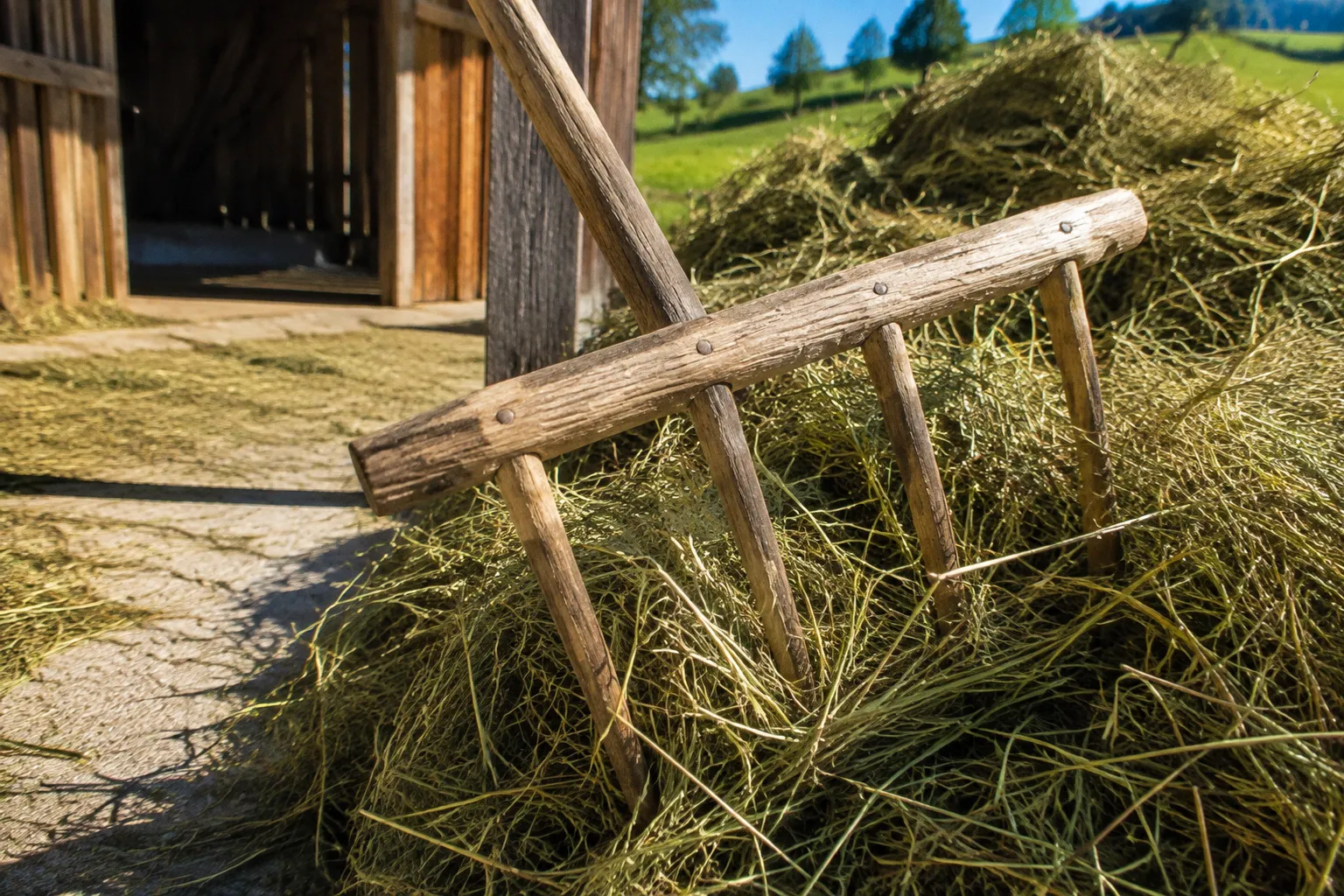 Urlaub am Bauernhof: Warum echte Landwirtschaft das Reiseerlebnis verändert