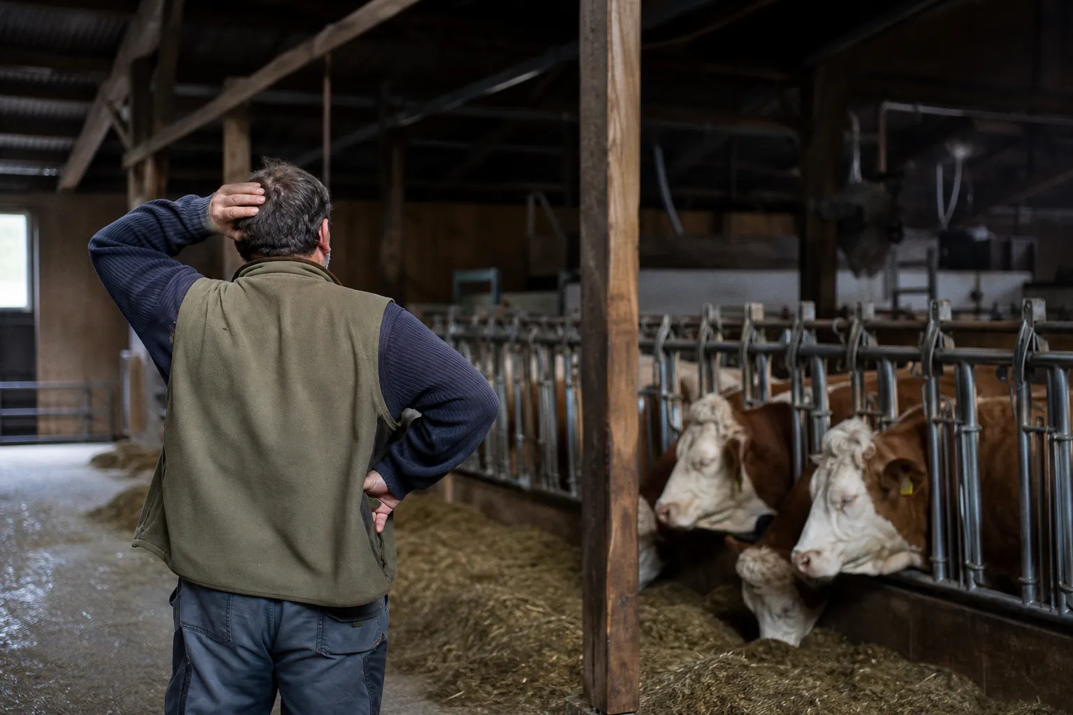 Warum landwirtschaftliche Betriebe ihre Planung nicht auf politische Versprechen stützen sollten